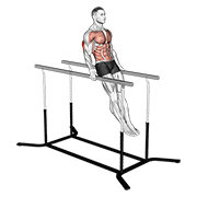 Dips Imposibles