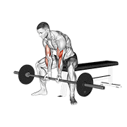 Curl Sentado Con Barbell Y Agarre Estrecho