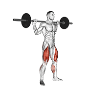 Sentadilla Saltadora Con Barbell