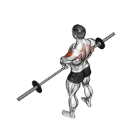 Levantada Vertical Con Barbell