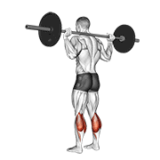Elevación De Talones Con Barbell En El Suelo
