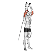Extensión De Tríceps Con Cuerda