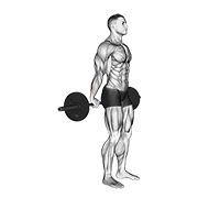 Curl De Muñeca Con Barbell