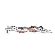 Push-up Tipo Superman
