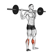 Elevación De Talones Con Barbell