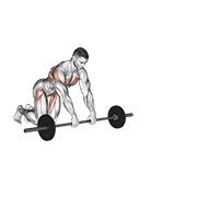 Rolleo Con Barbell