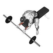 Curl De Muñeca Con Barbell