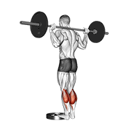 Elevación De Talones Con Barbell