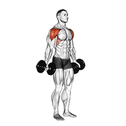 Levantada Lateral Con Mancuernas