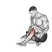 Estiramiento De Músculo Tibial Posterior