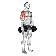 Levantada Lateral Con Mancuernas