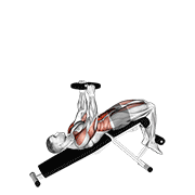 Sentadilla Abdominal Declinada Con Peso