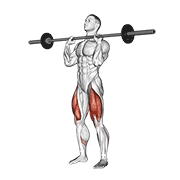 Sentadilla Con Barbell En El Pecho