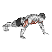 Abdominales Con Brazos Separados