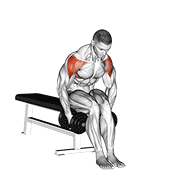 Levantar Lateral Con Mancuernas Sentado