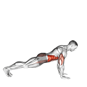 Flexión A Plank Lateral