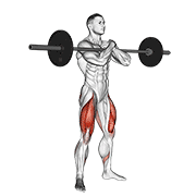 Sentadilla Zercher Con Barbell