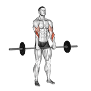 Curl De Barbell Con Agarre Invertido