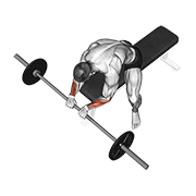 Curl De Muñeca Inverso Con Barbell