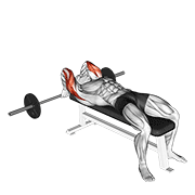 Extensión De Tríceps Acostado Con Barbell Detrás De La Cabeza