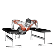 Abdominales Con Salto