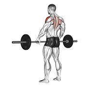 Remo Erguido Con Barbell