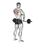 Levantada Vertical Con Barbell