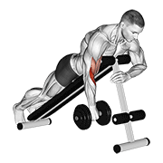 Curl De Bíceps Con Mancuerna Una Mano (reverse Spider Curl)