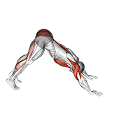 Push-up Pike A Cobra