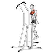 Dominadas Con Barra (en Dip-pull-up)
