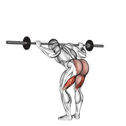 Buenos Días Con Barbell
