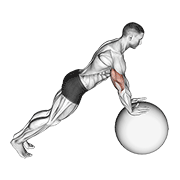 Flexión Con Bola Estabilizadora