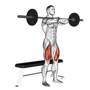 Sentadilla Con Barbell Sobre Pecho