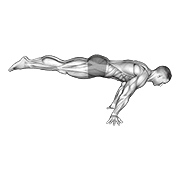 Planche Completo