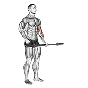 Curl Alternado De Bíceps Con Barbell