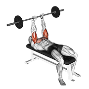 Press Banca Con Barbell