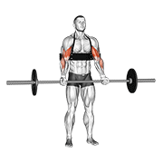 Curl De Bíceps Con Barbell (con Arm Blaster)