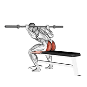 Buenos Días Sentado Con Barbell