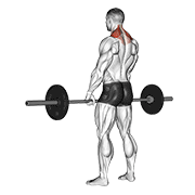 Elevación De Hombros Con Barbell