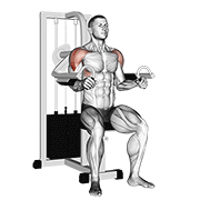 Levantar Lateral Con Máquina
