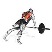 Remo Inclinado Con Barbell