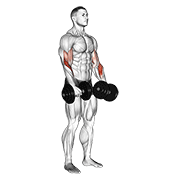 Curl De Bíceps Con Mancuernas (reverse Grip)