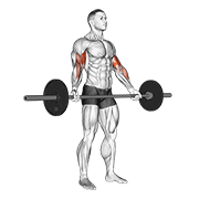 Curl De Bíceps Con Barbell Y Agarre Amplio