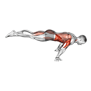 Plancha Completa Con Salto