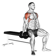 Levantada Lateral Sentado Con Mancuernas
