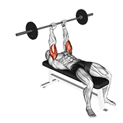 Extensión De Tríceps Acostado Con Barbell