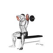 Extensión De Tríceps Sentado Con Barbell Ez
