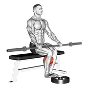Elevación De Talones Con Barbell Sentado
