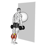 Elevación De Talones Con Bola De Ejercicios Apoyada En La Pared (pelota De Tenis Entre Rodillas)