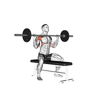 Press Sentado Con Barbell
